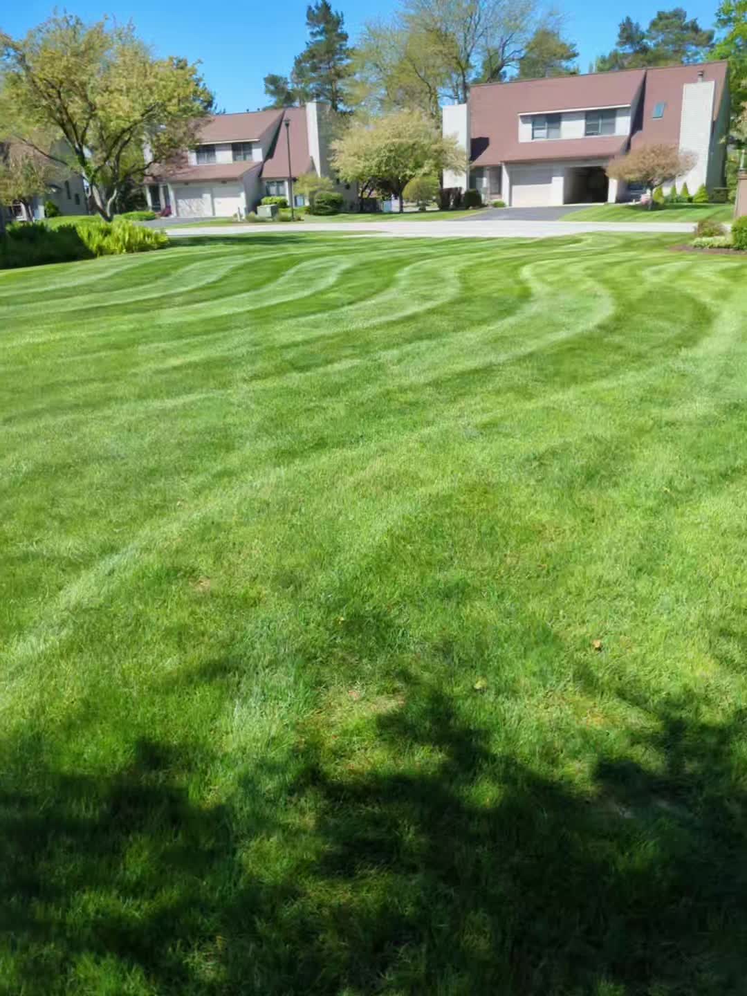 @mulletdingermaster3000