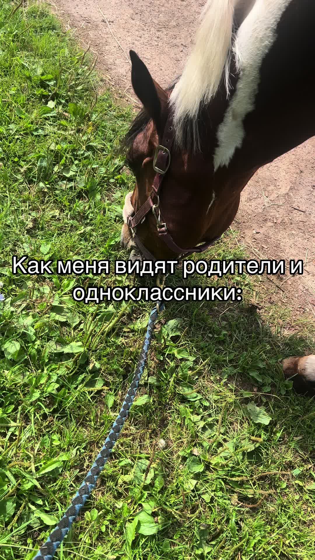@Ли🐴