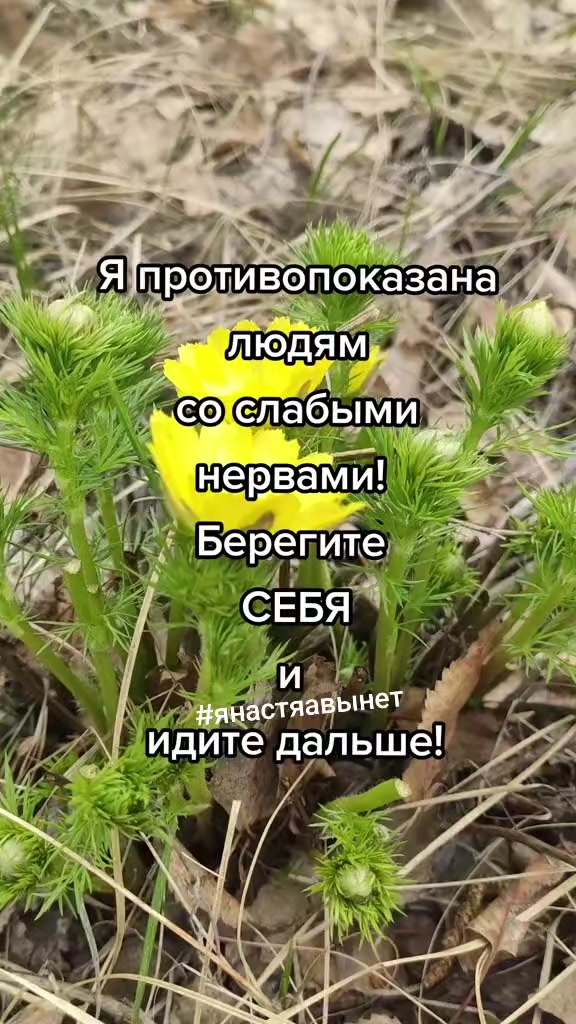 @я Настя, мне можно!