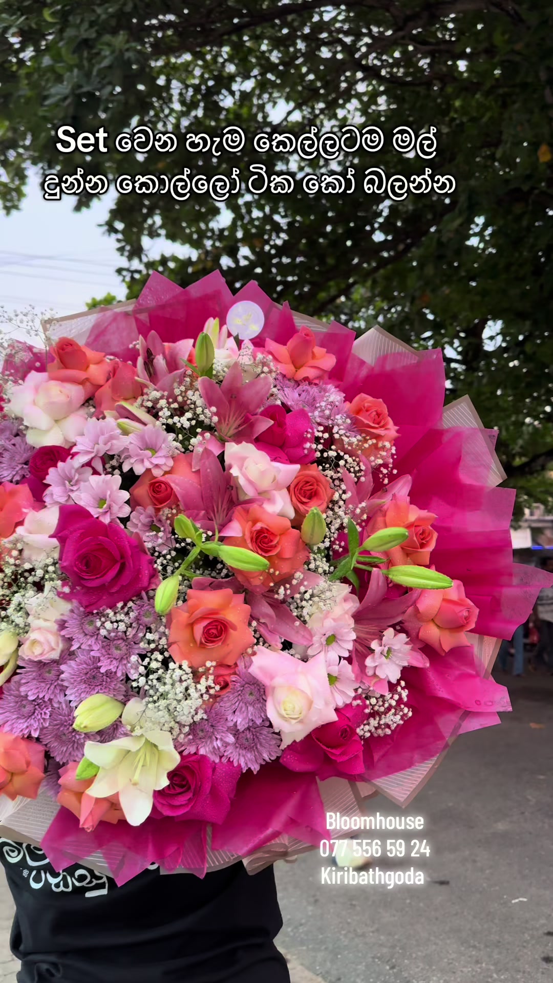 @Bloomhouse