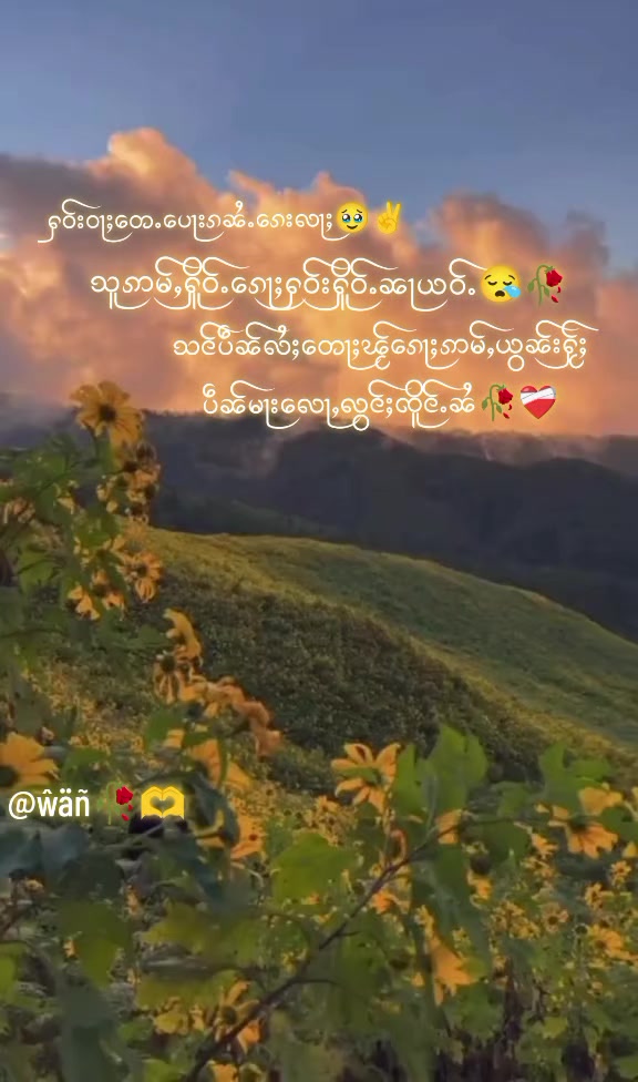 @๐งแแฎแ แแผแบแธ๐น๐ญ๐59๐