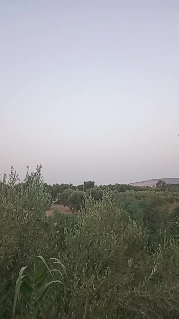 @ام. يحي