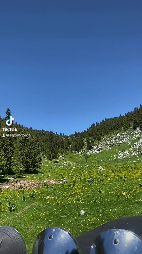 @Egzon Gorqaj