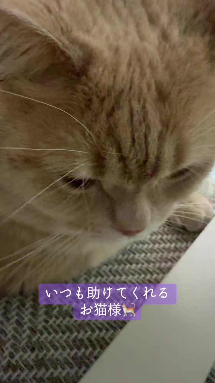 @ð«ð§ããã±ã³ðïžâïžãããµãð§ð«