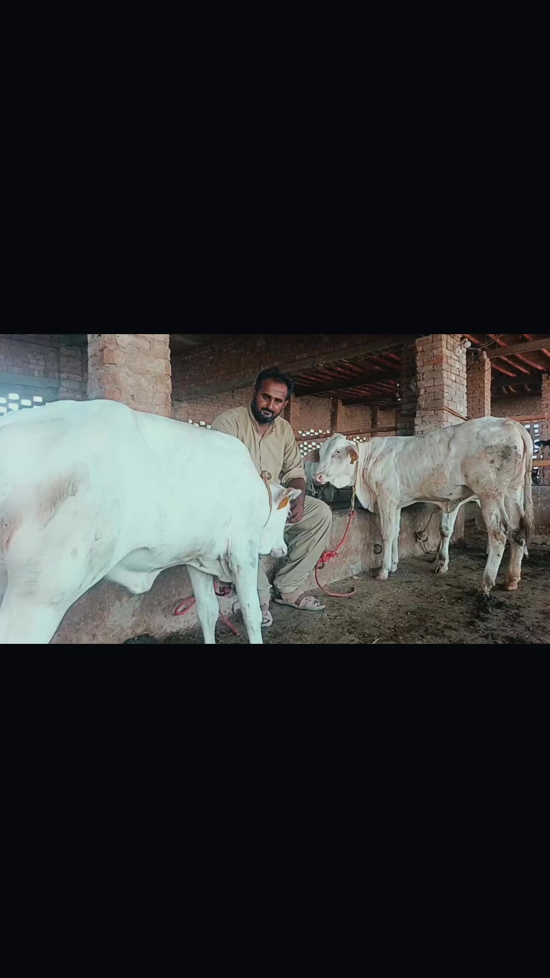 @Dr Mohammad Raza Kachala