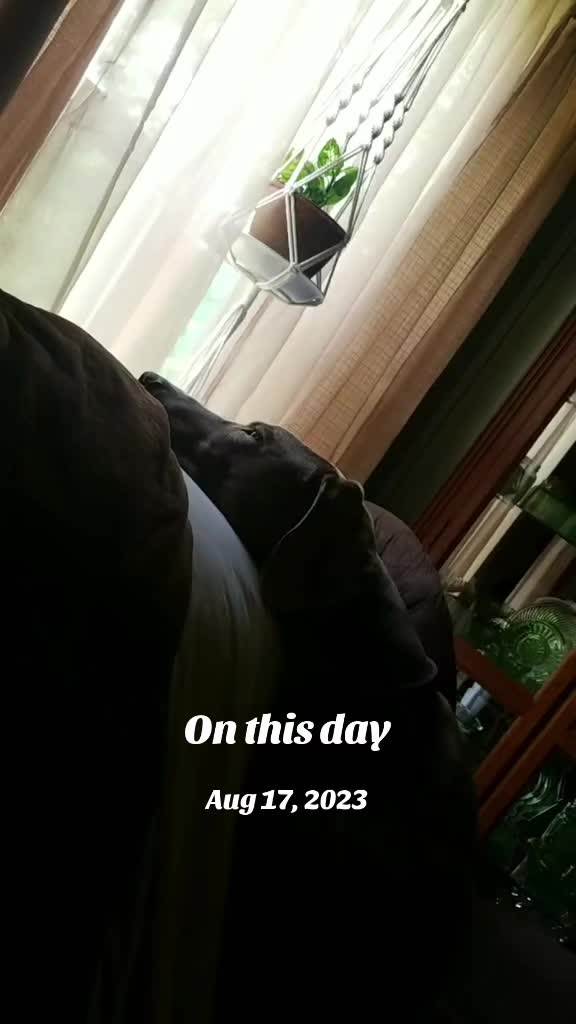 @Tina72🤙