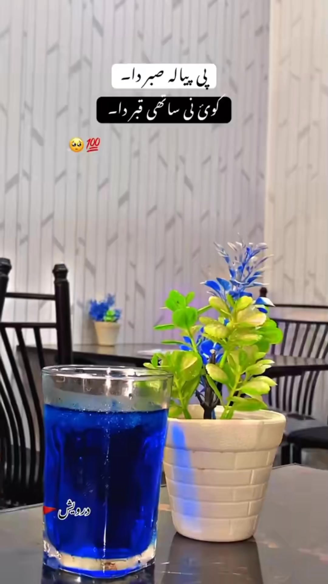 @🐯متین صاحب 786🦁