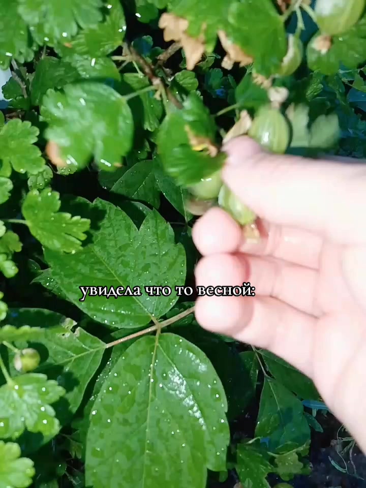 @ПЯТНИЦА