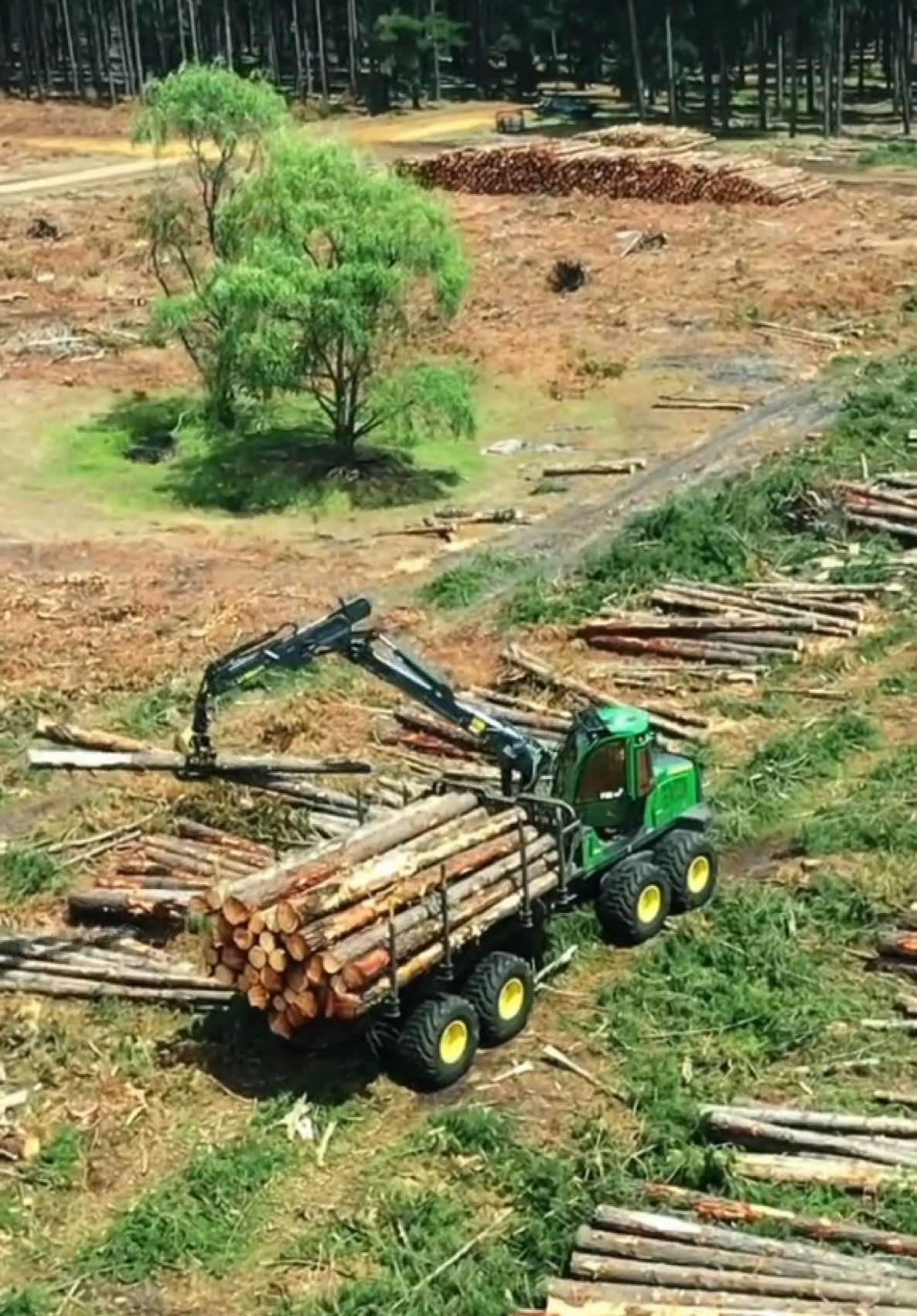 @MerrettLogging