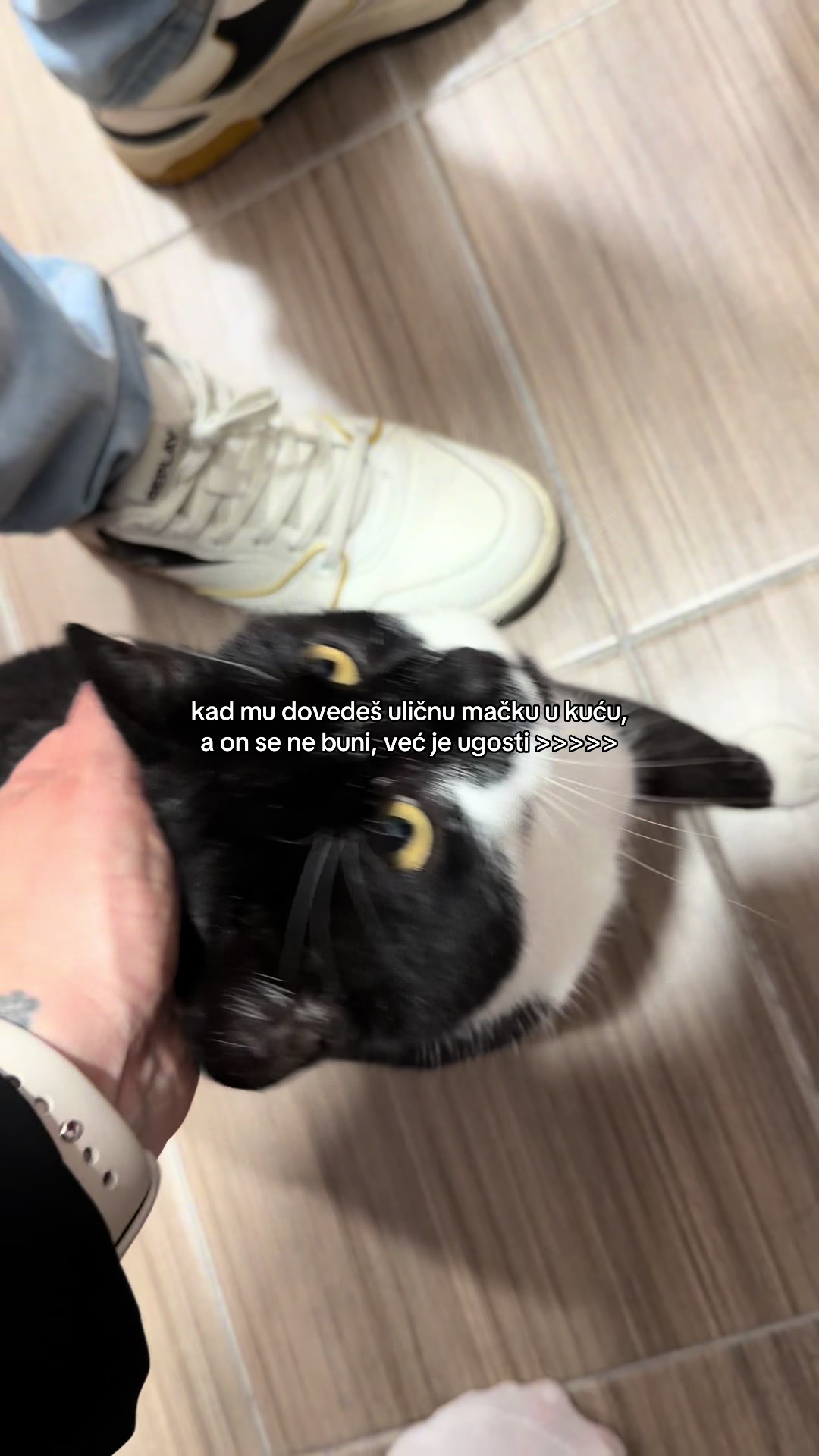 @Nymeria