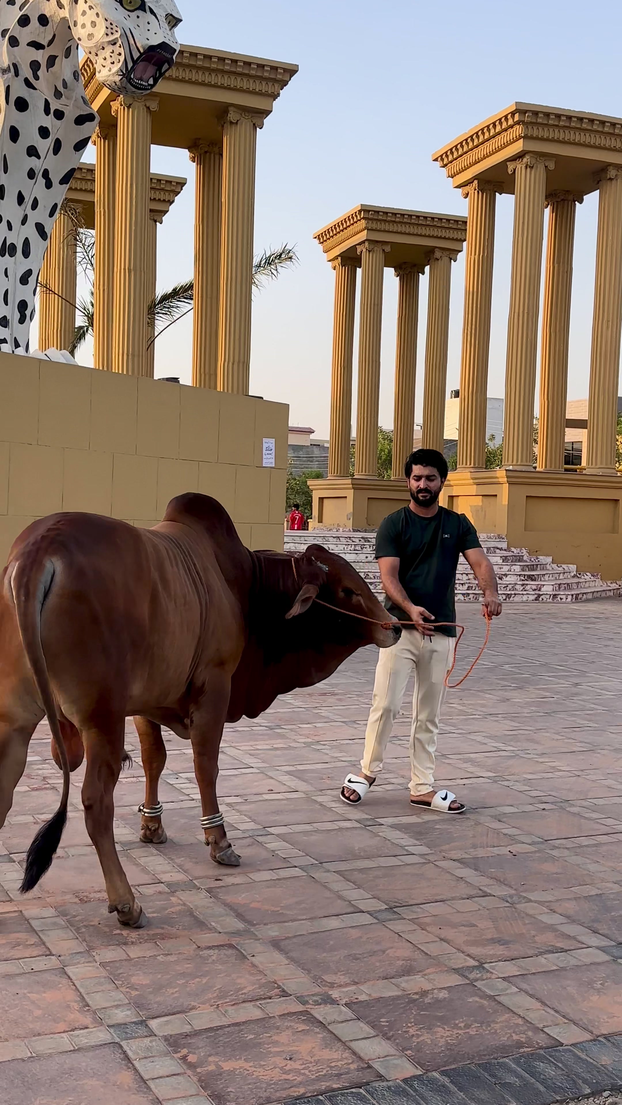 @Ali Raza Malik