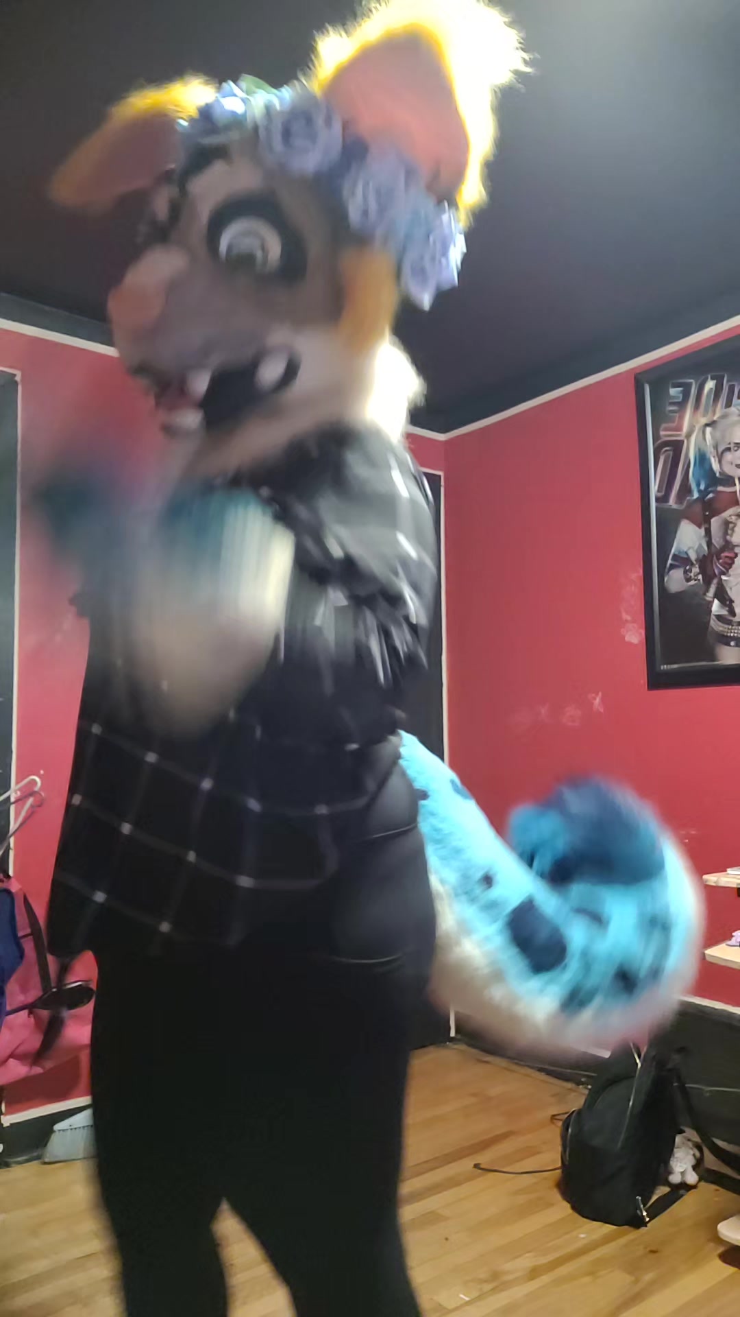 @❤️Sorin-Canfurence