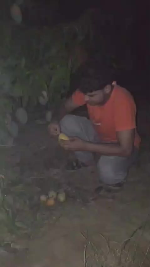 @عبدالله الربيعي