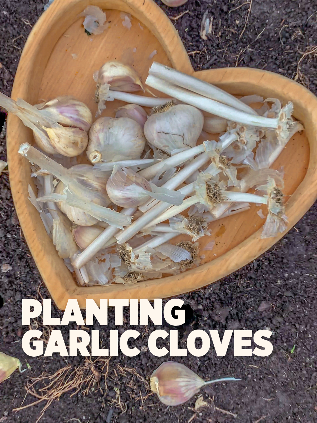 @Planted in the Garden