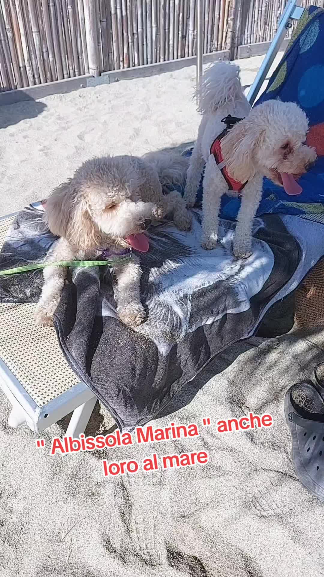 @Marco