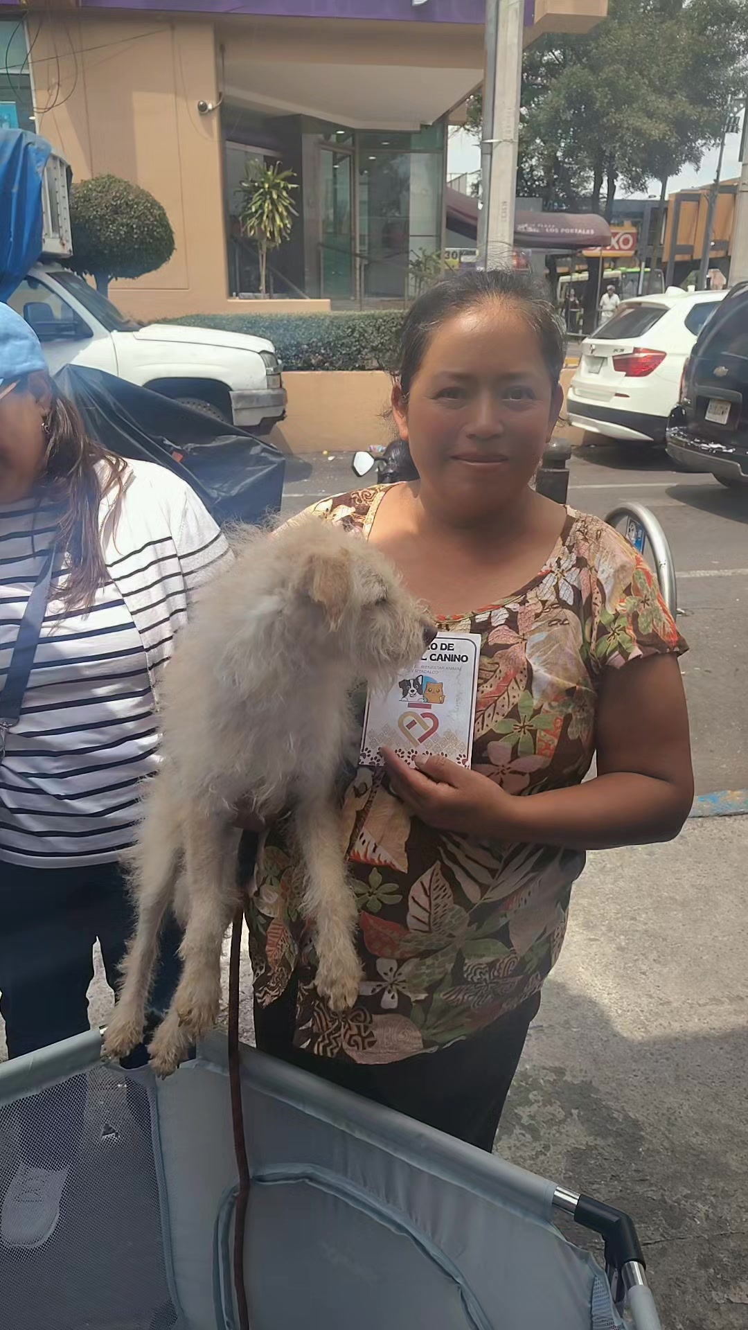 @rescate de perros guapos 😚