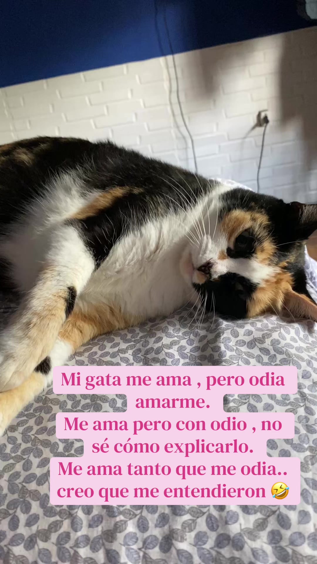 @Flor Gutiérrez