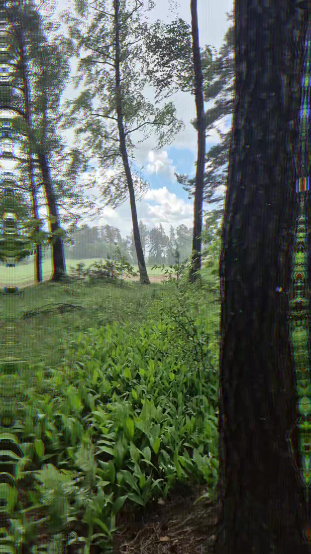@Александр