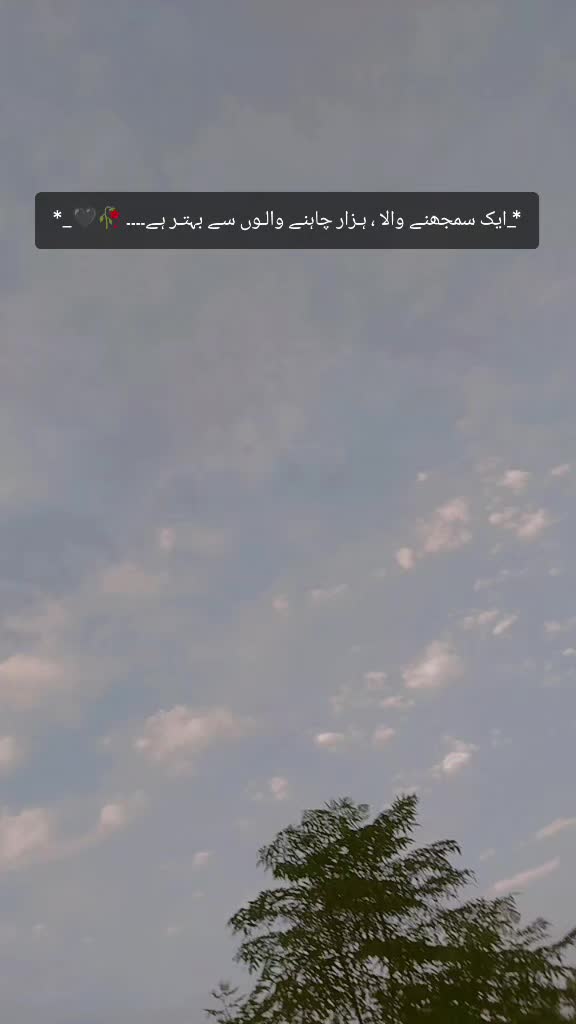 @@༄ᶜᵘᵗiᵉ᭄✿Z ΜΛLΙΚ࿐