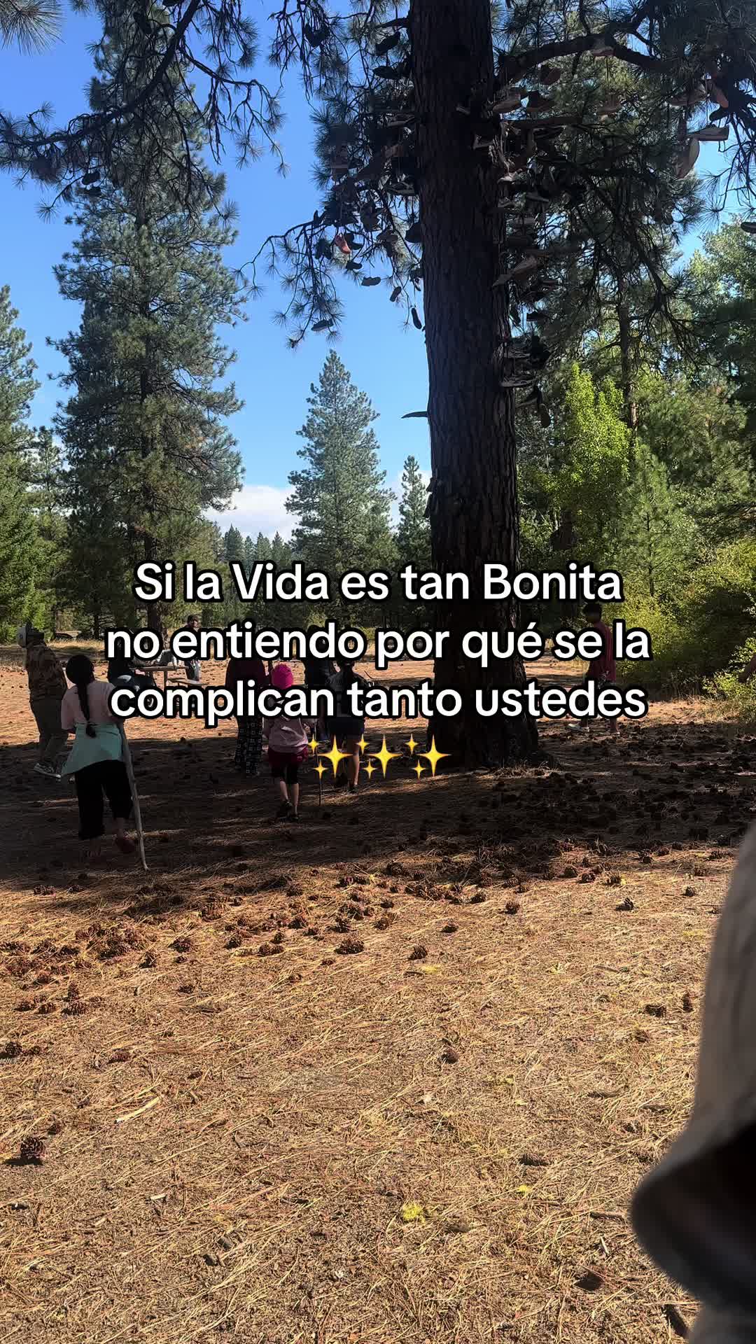 @Abril Robles
