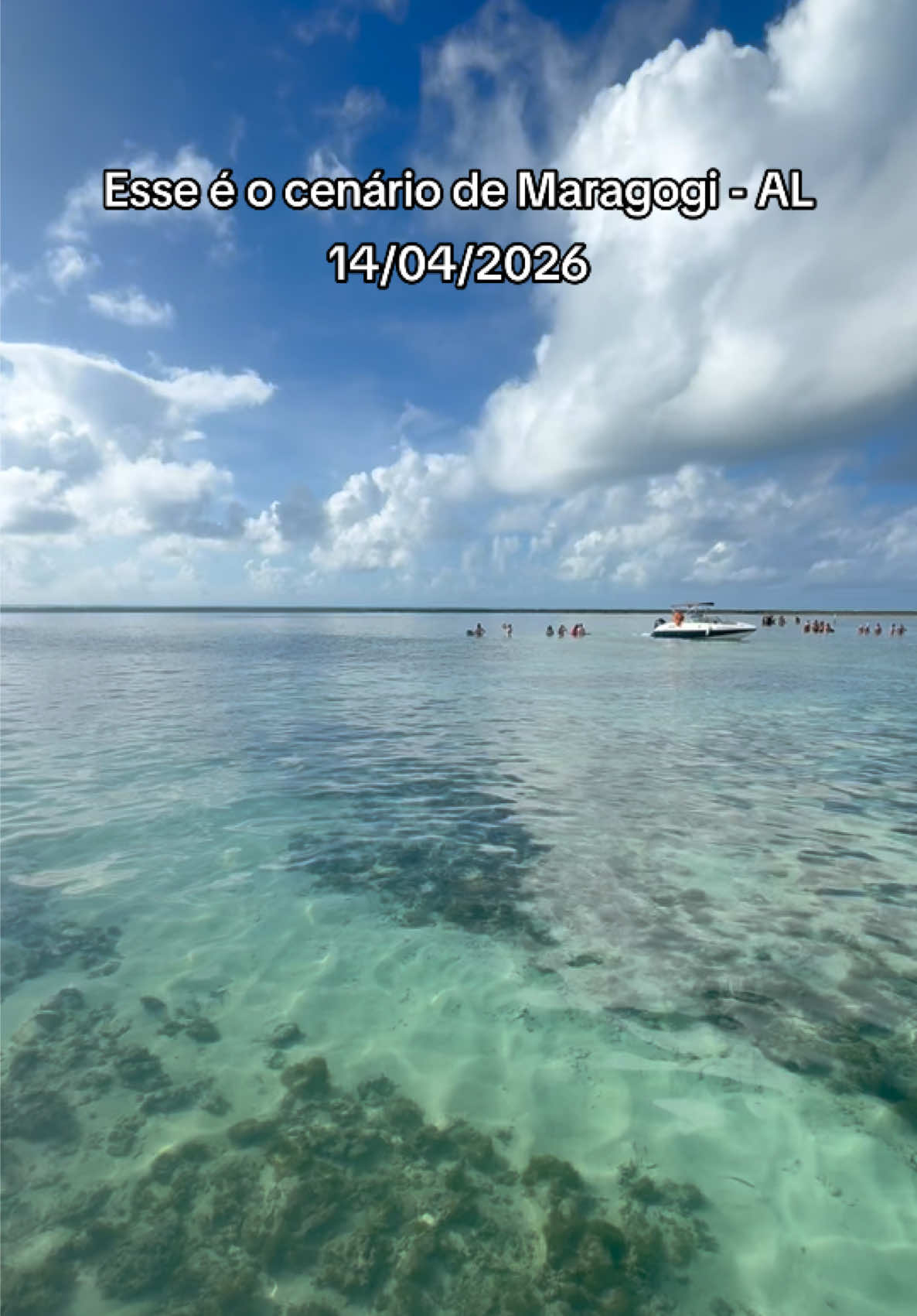 @Agência Lagoa Azul Maragogi🐠