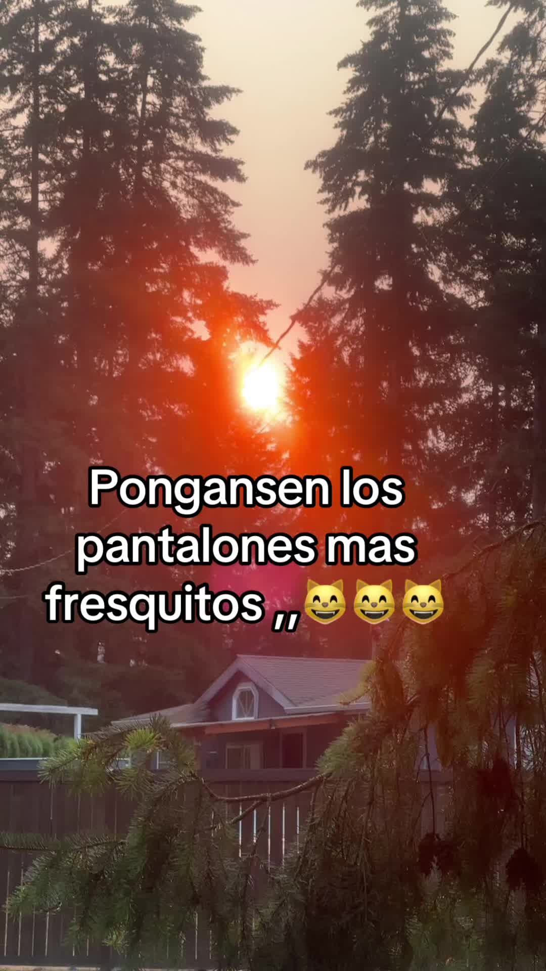 @Gatoflojoloko