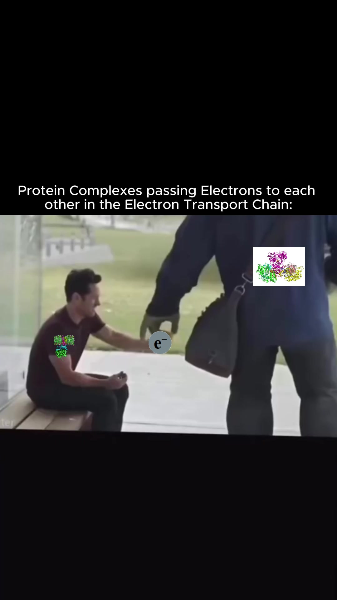 @ionicbonded