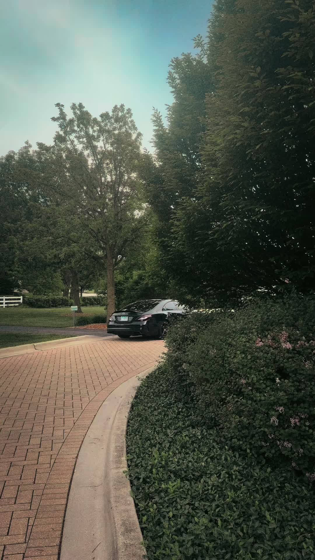 @𝕯𝖆𝖒𝖊 ﾒ𝟶