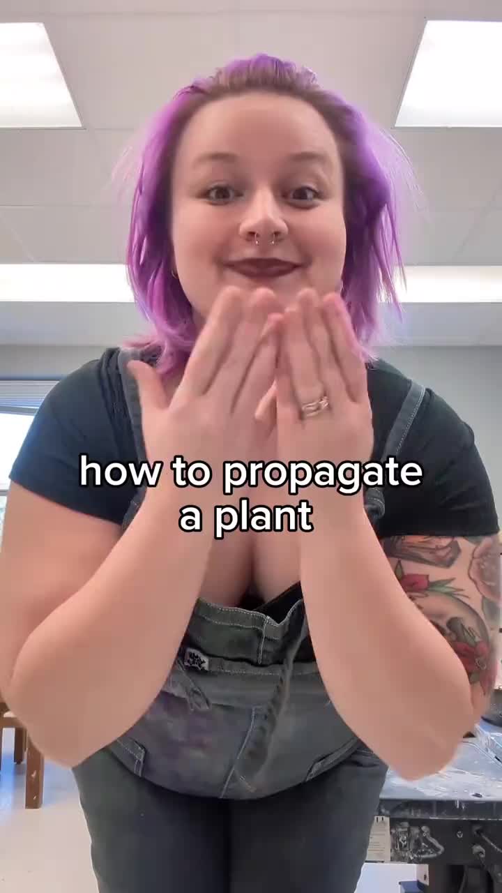 @Meowrcie