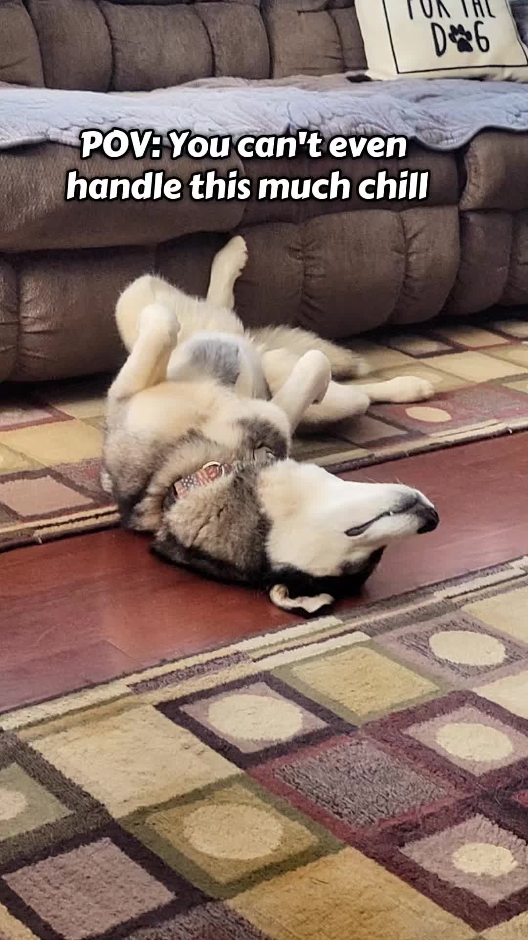 @the Hussey Husky ❌️
