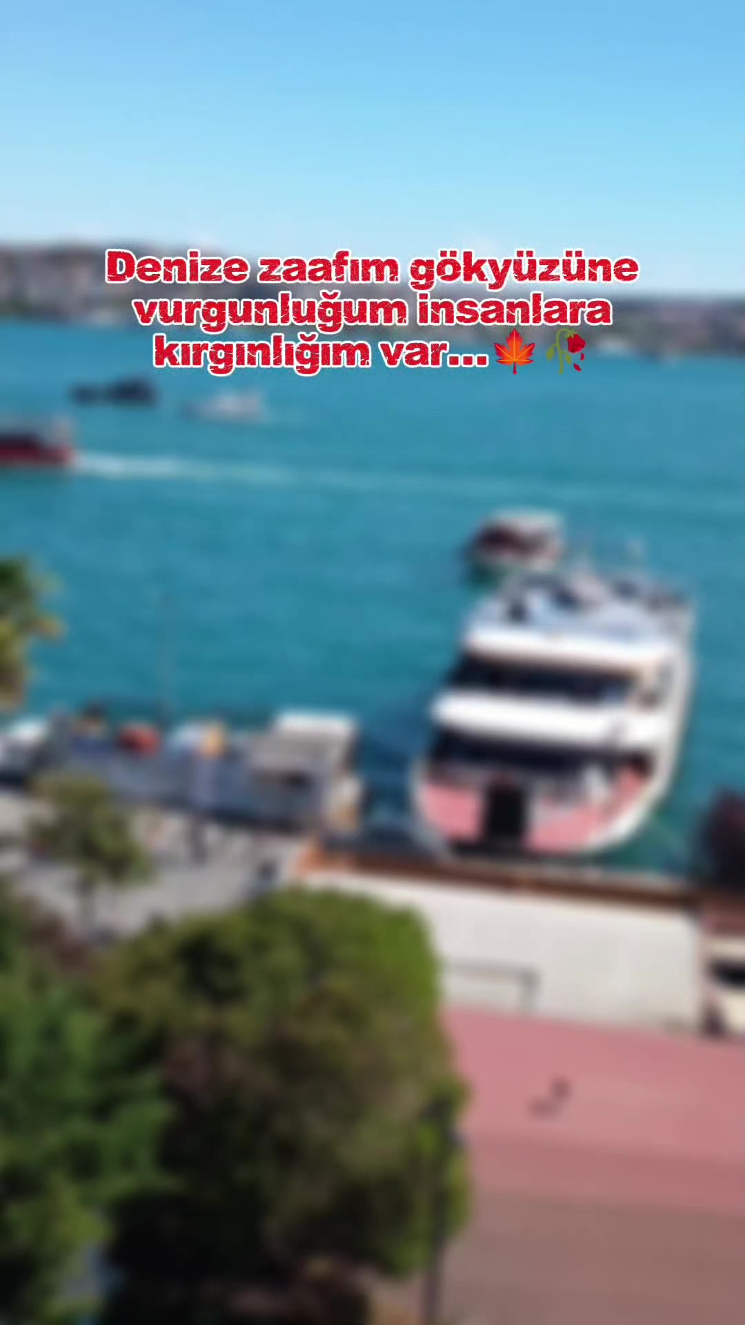 @TC. LEYLA.7534🇹🇷🇹🇷🇹🇷