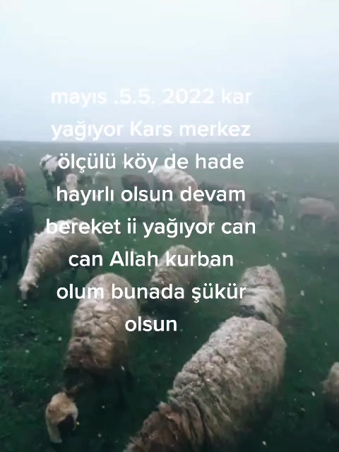 @Beni çekemeyenler ölsün