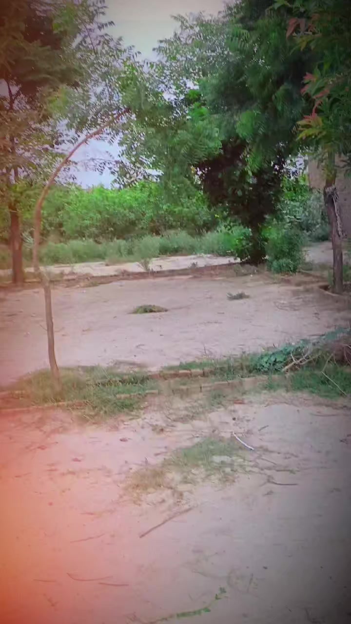@◦•●◉✿👀SONA RAJPUT🌺✿◉●•◦