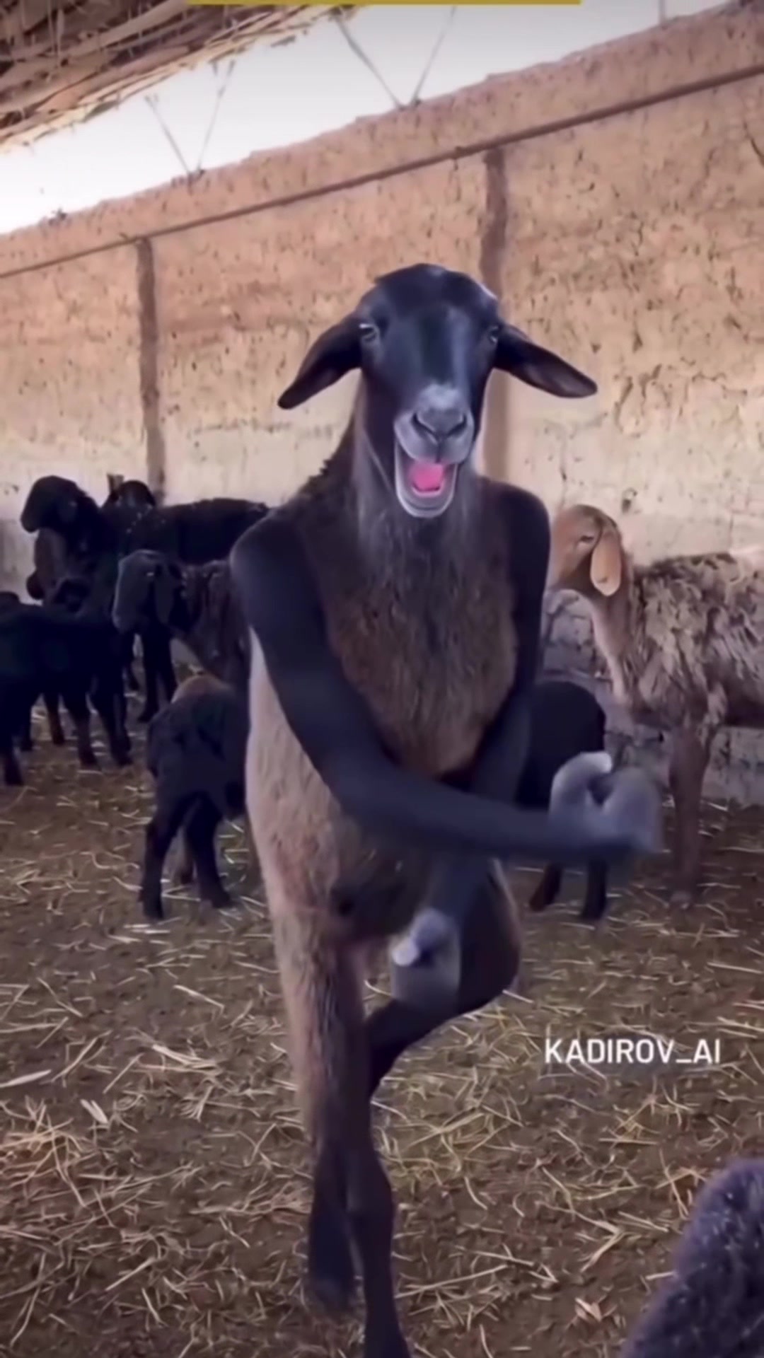 @عبداللّہ اقبال 🇵🇰