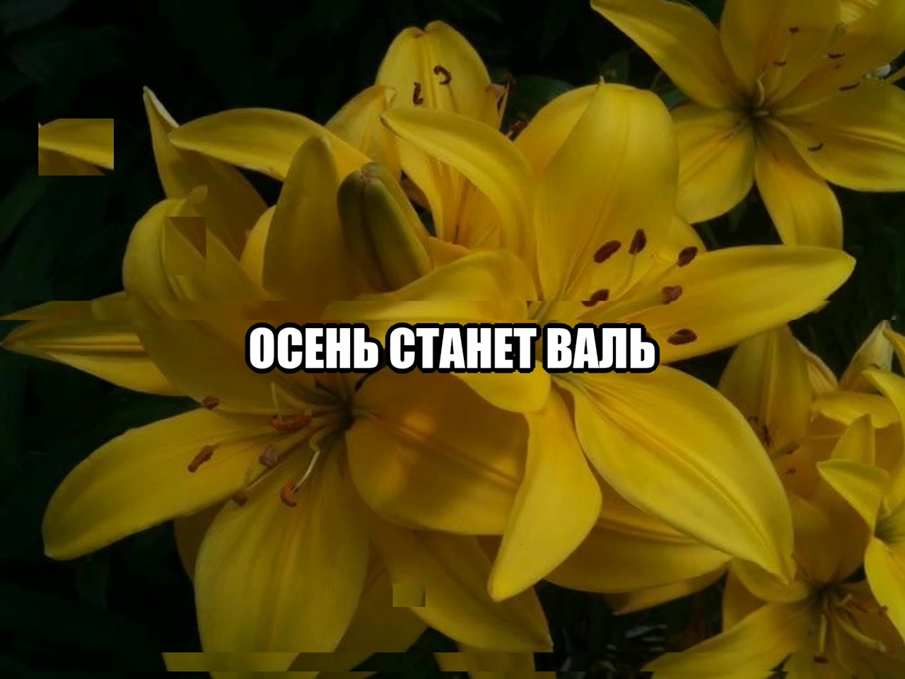 @звуки для липсингов