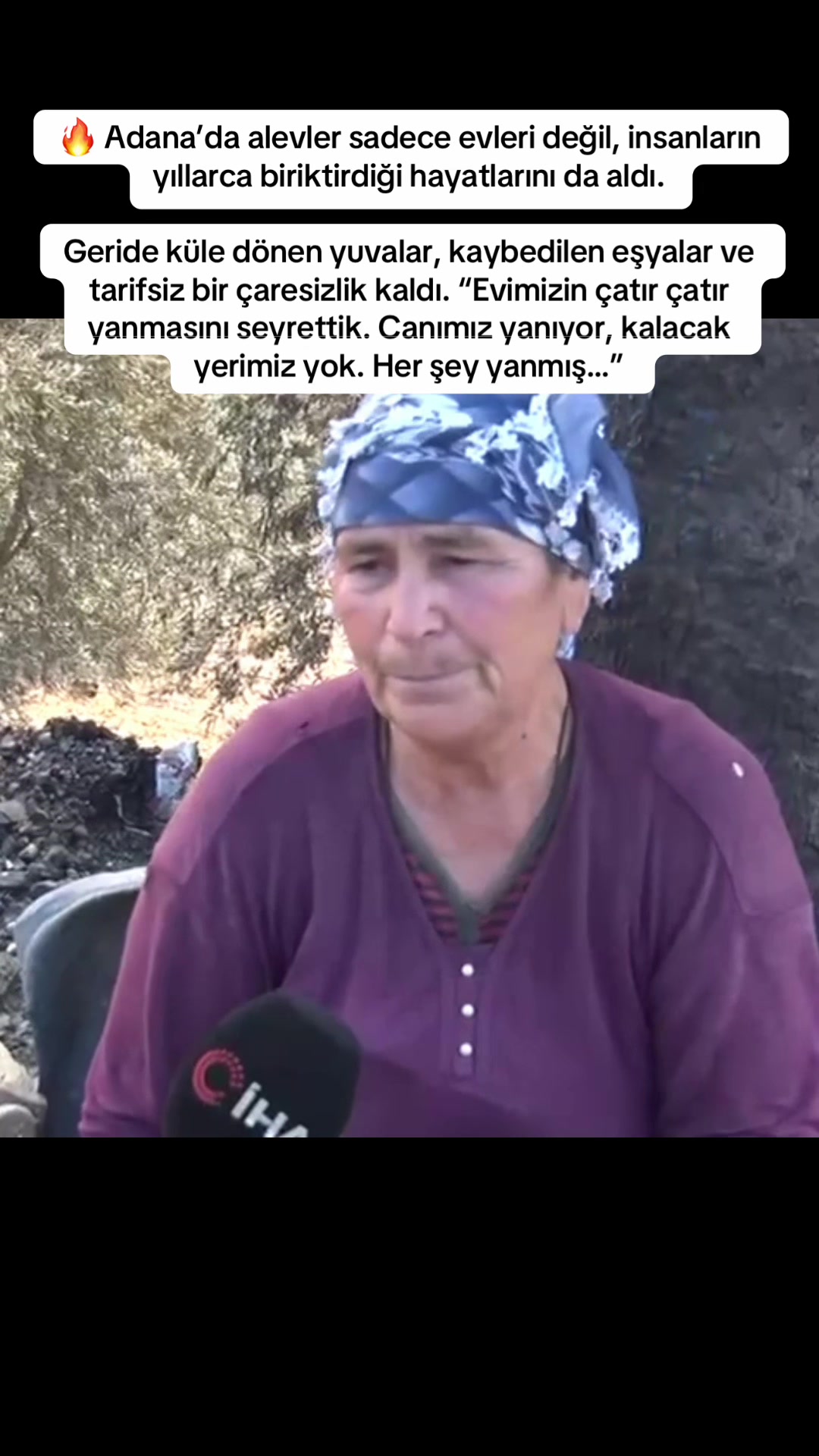 @Bizadanaliyik