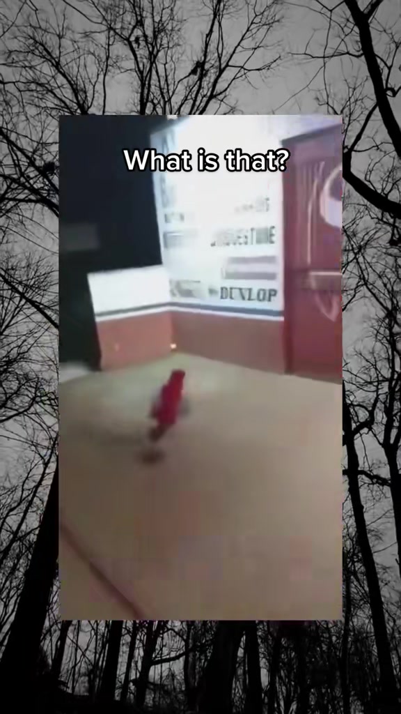 @SCARYVIDEOS