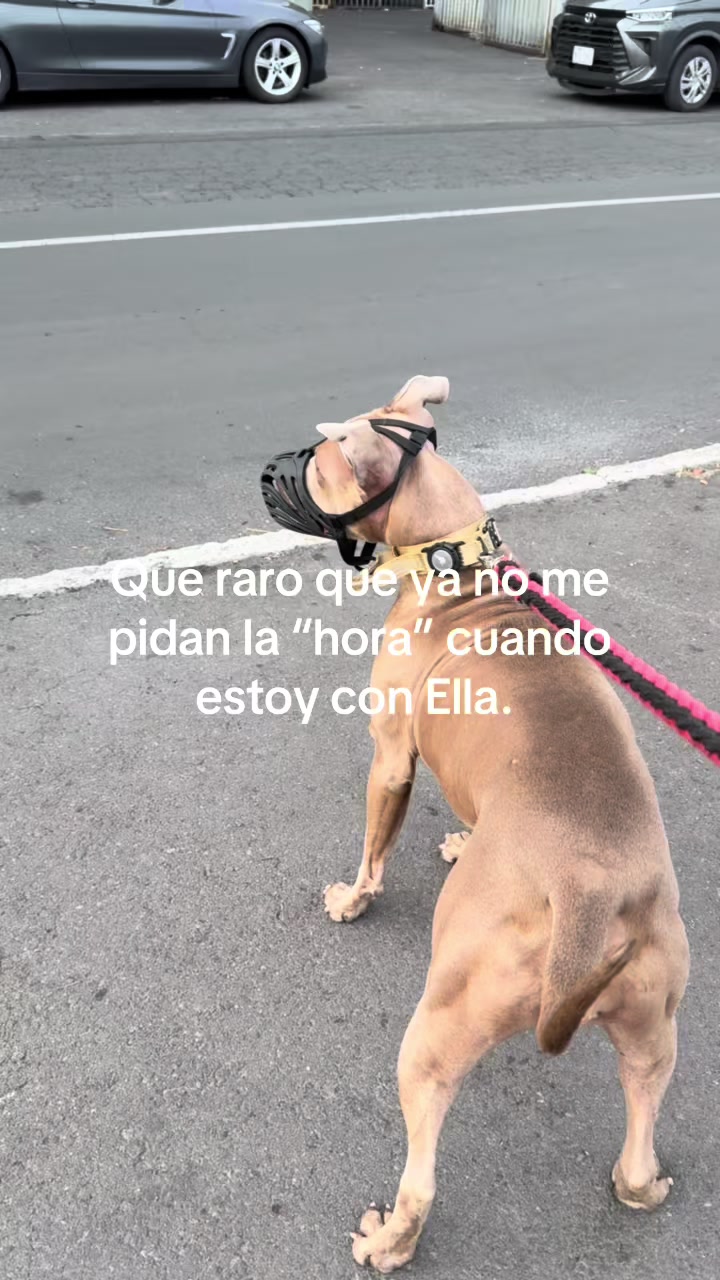 @Sofi Gal