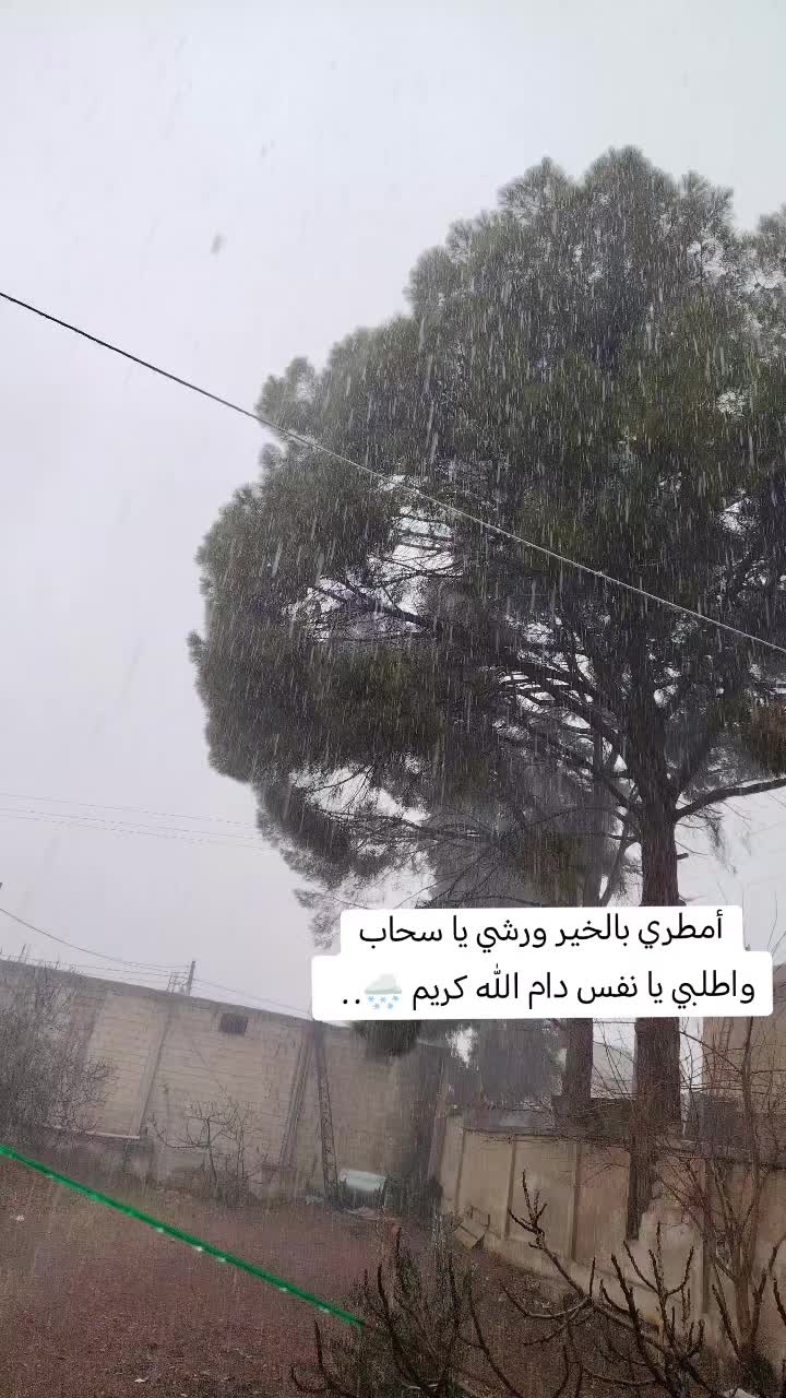 @𝑩𝒂𝒖𝒕𝒕𝒆𝒓𝒇𝒍𝒚ꨄ︎