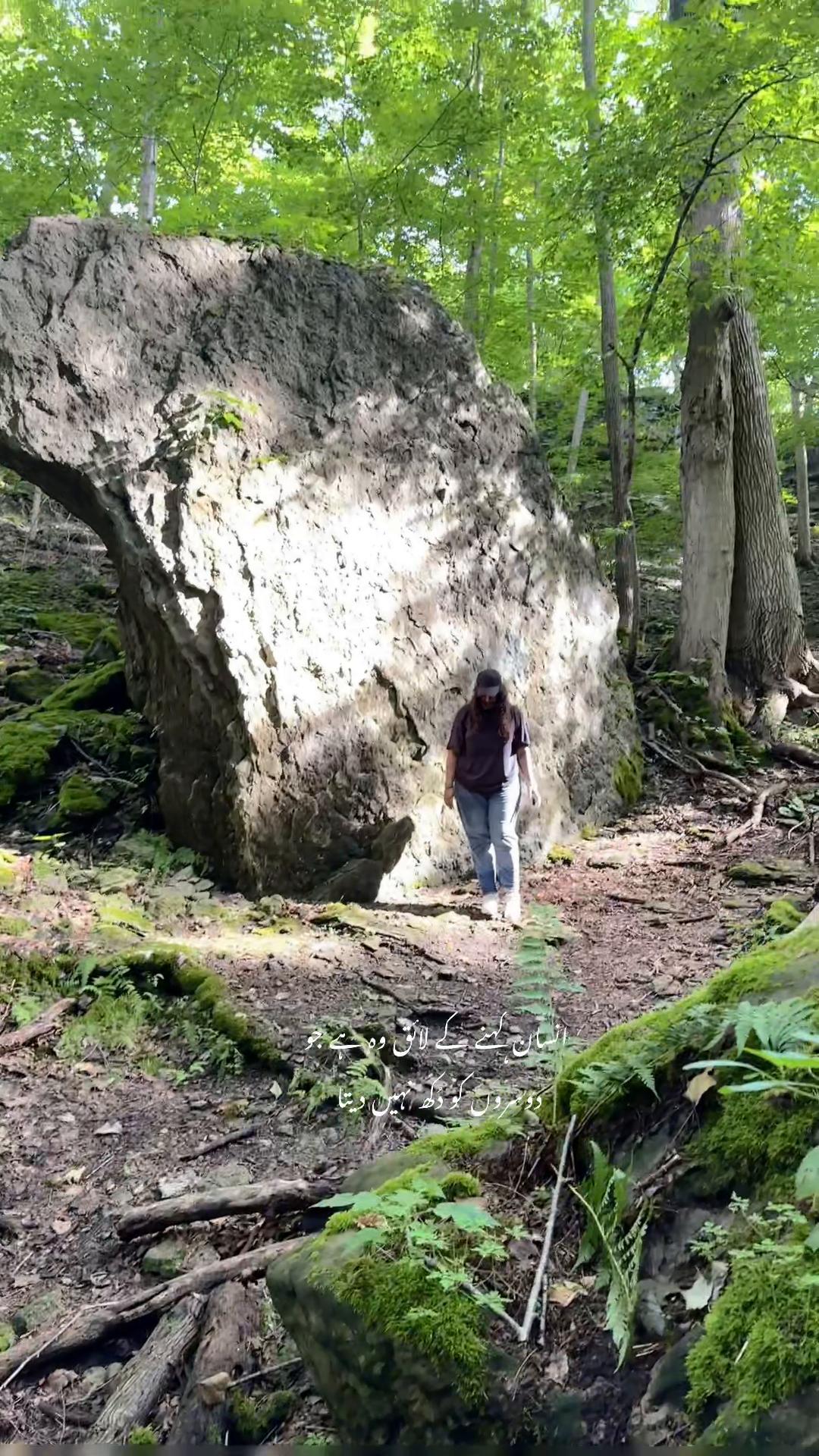 @Nature lover  🇨🇦