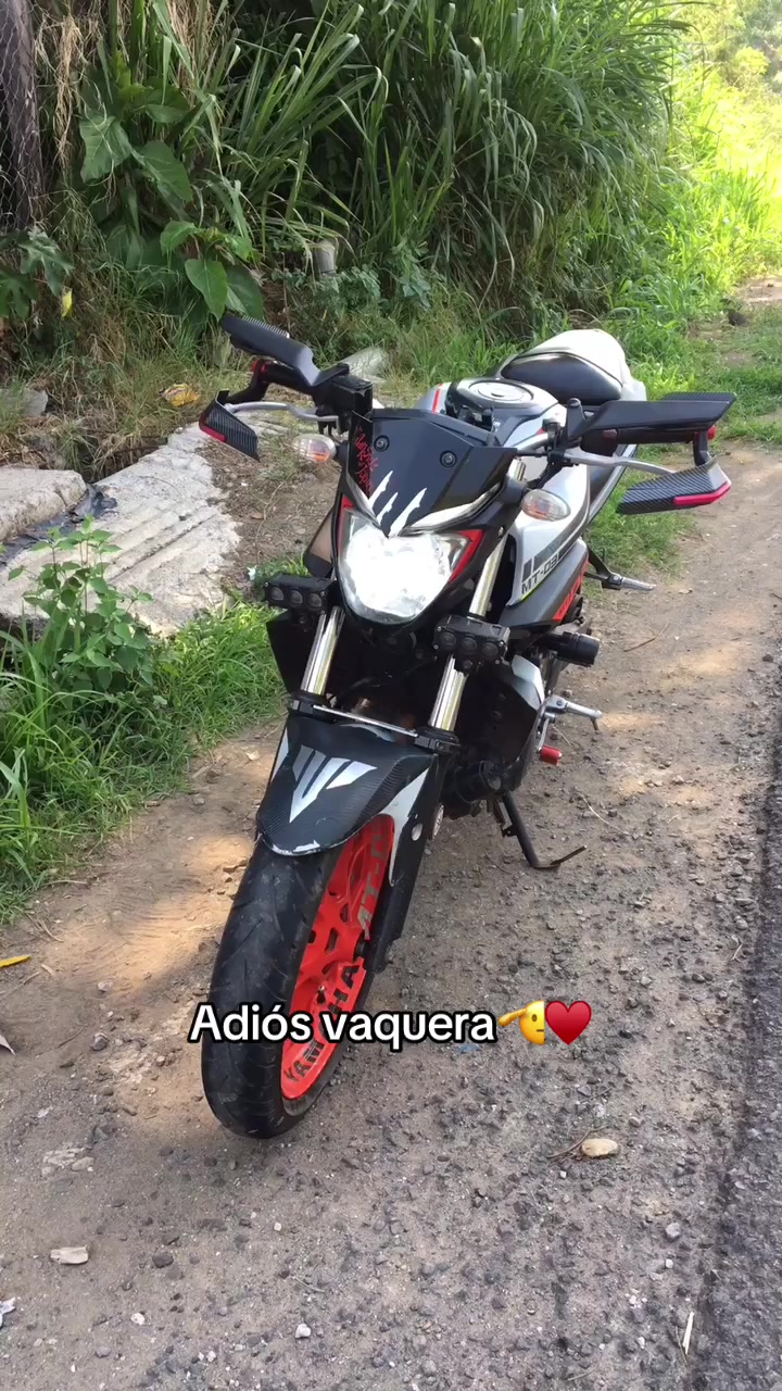 @Martinez503🇸🇻