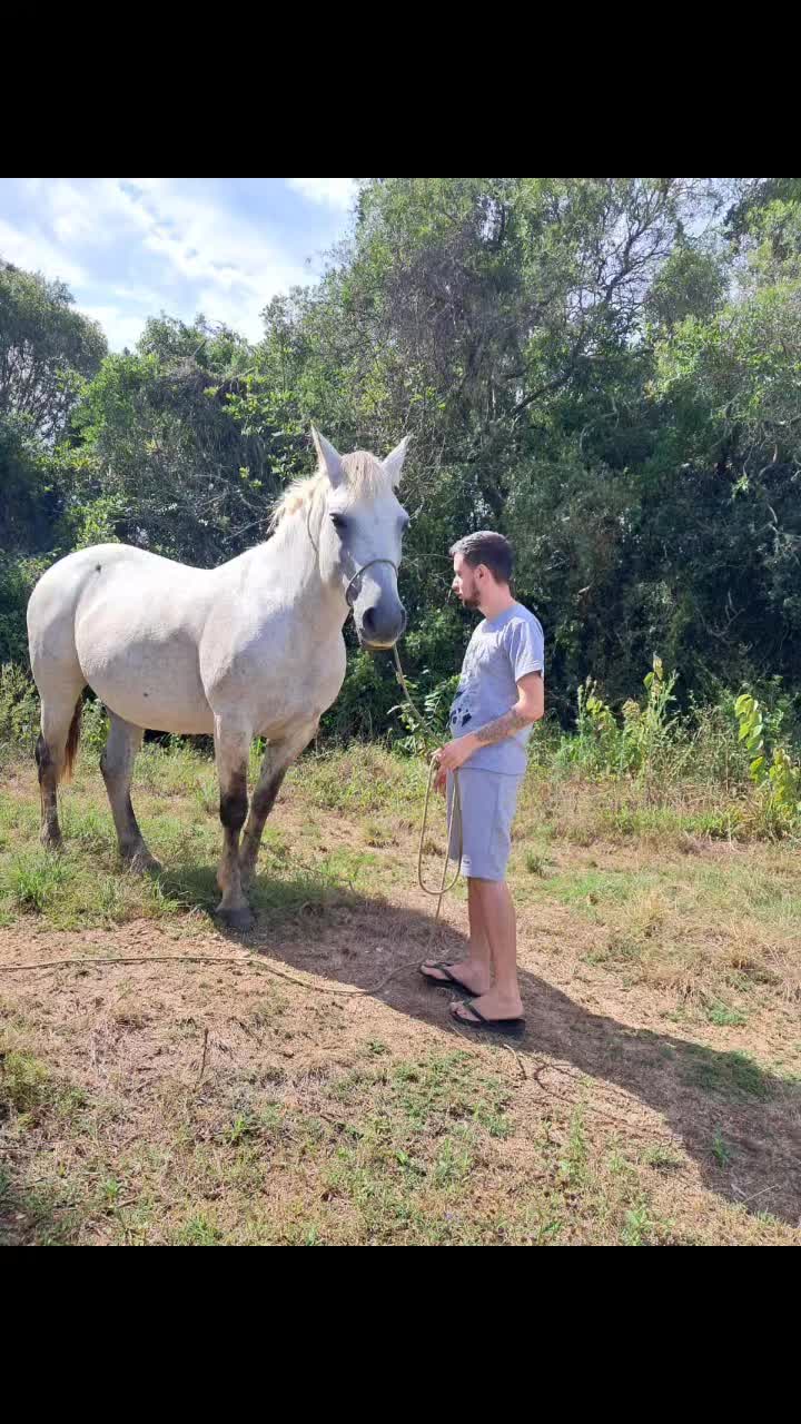 @⚡🤠Tales lacerda🤠⚡