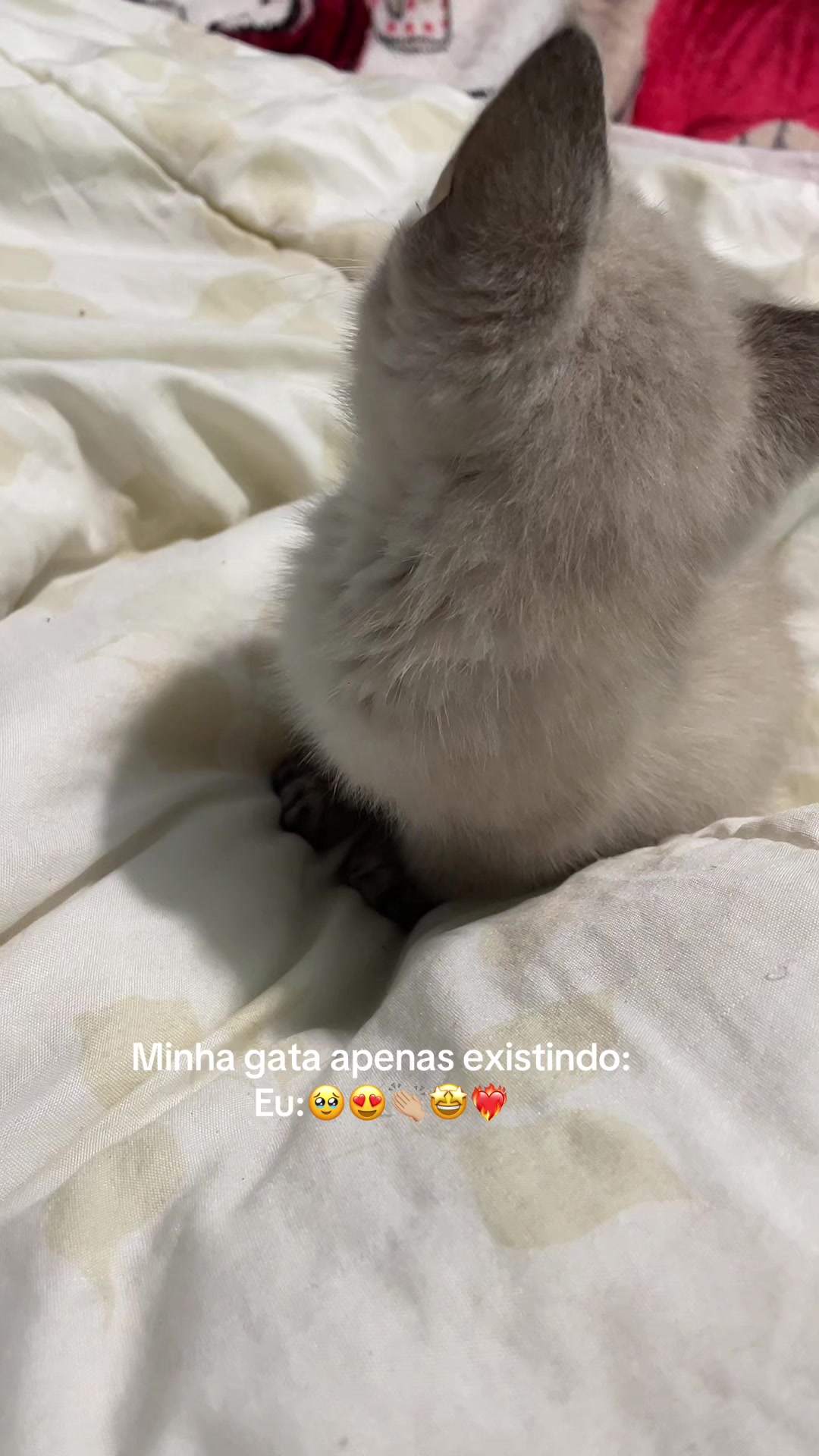 @Erica_Eduarda
