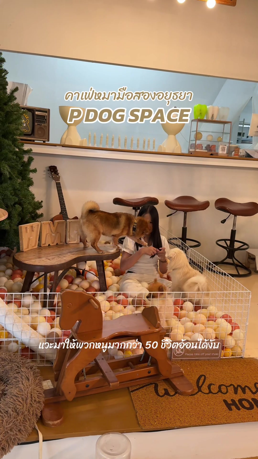 @P Dog Space คาเฟ่หมามือสอง 🐶