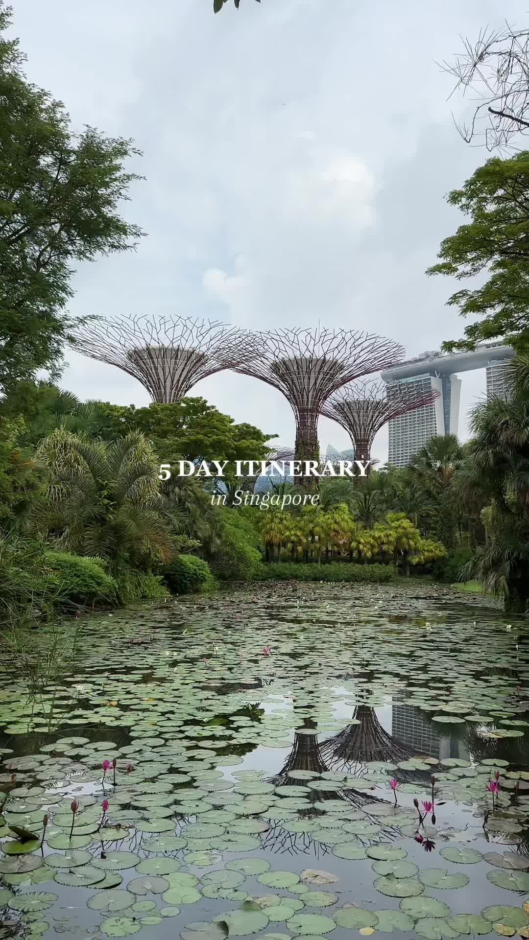 @Travel with Serene