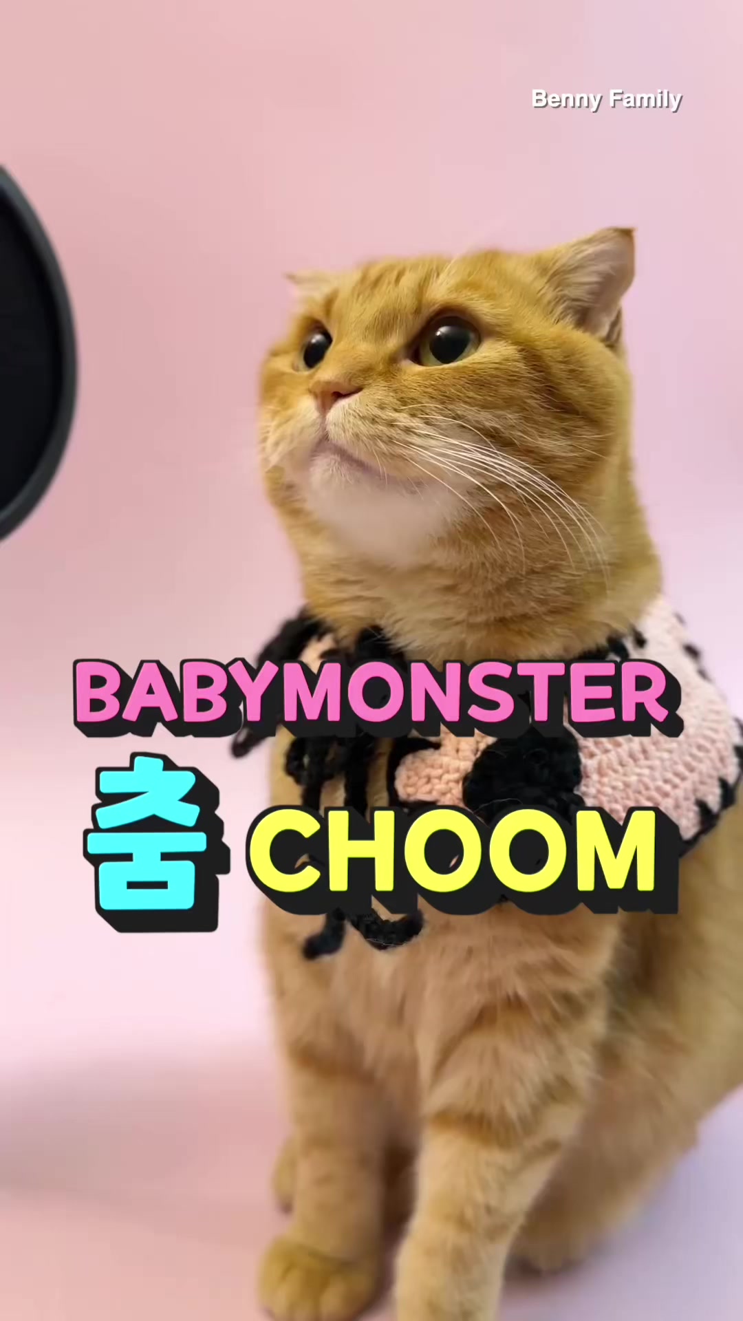 @베니패밀리 Benny Family