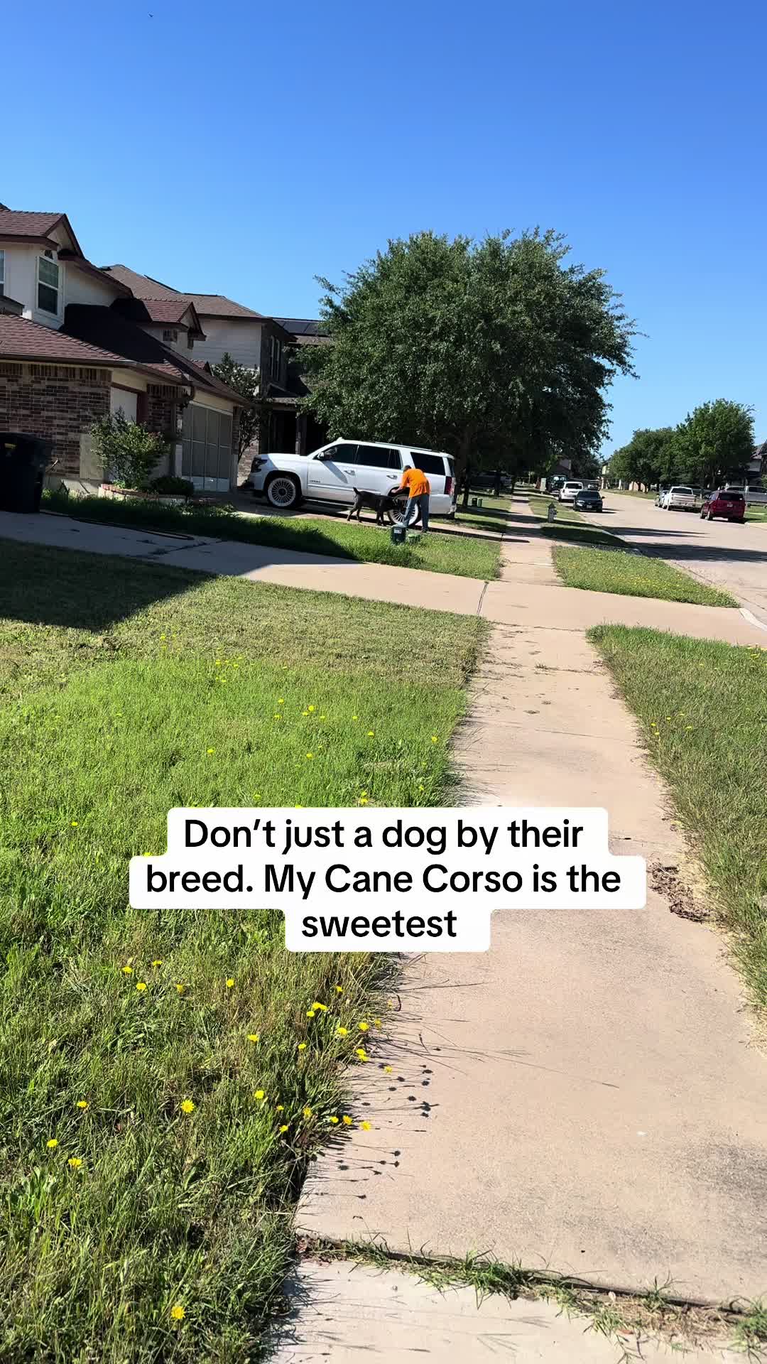 @ms.getrightorgetleft