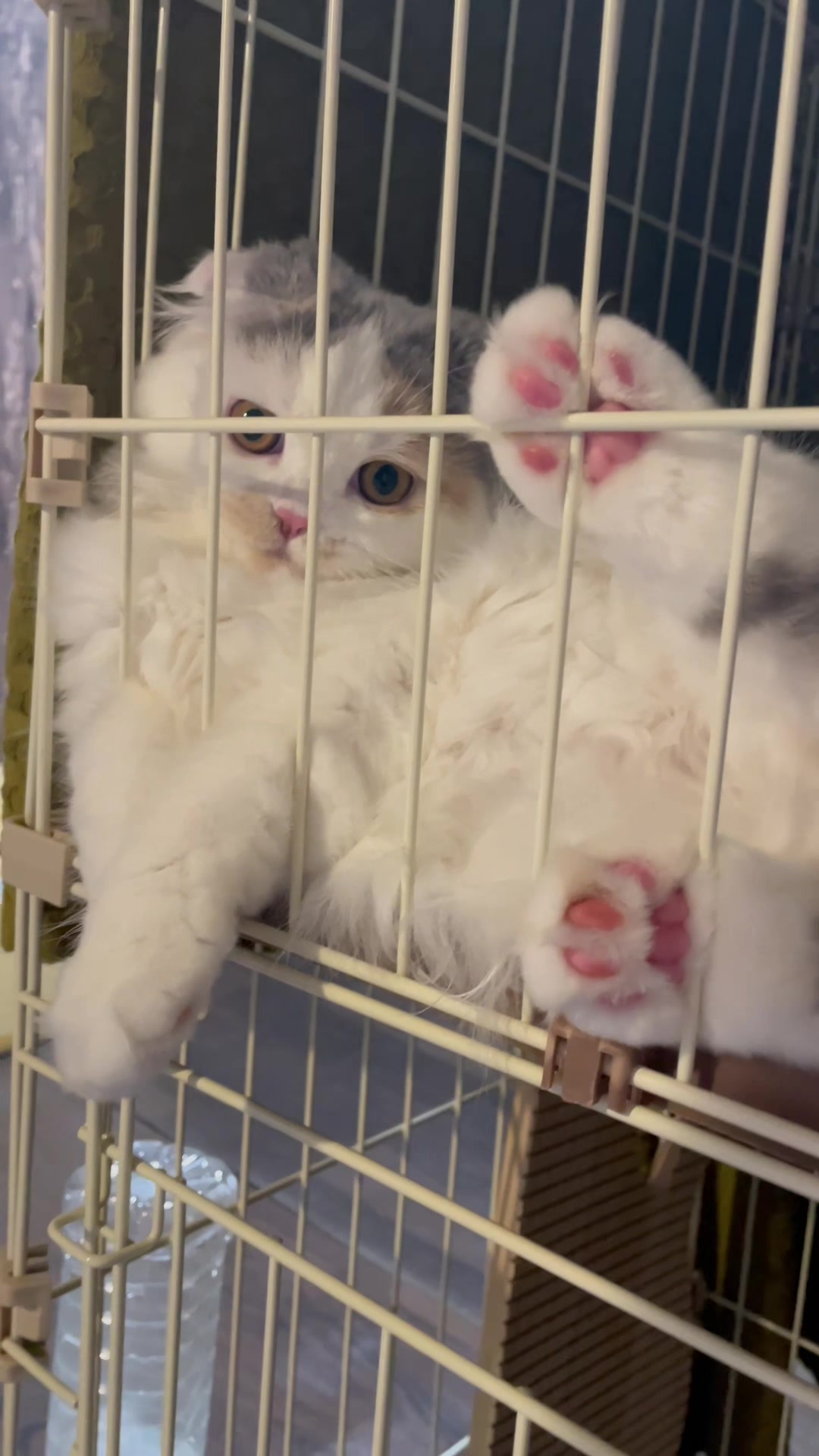@むぎころ
