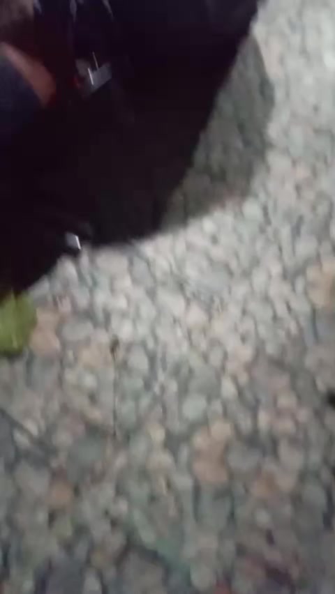 @sahrilco