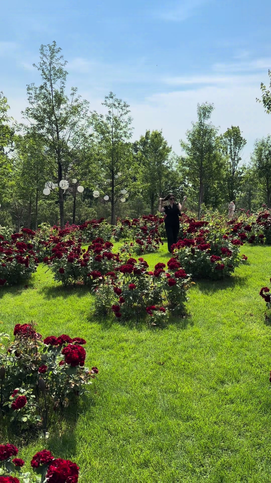 @Анна ❤️